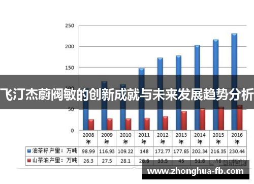飞汀杰蔚阀敏的创新成就与未来发展趋势分析